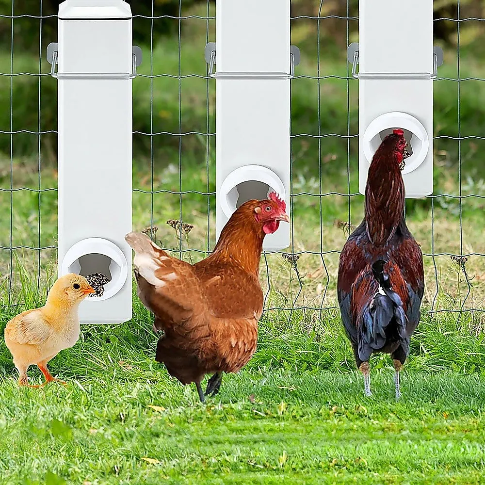 Automatic 4L Chicken Feeder & Waterer, Anti-Spill, Durable PVC
