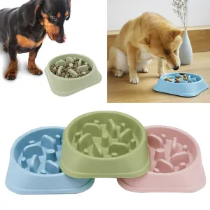 Dog Cat Slow Eating Bowl