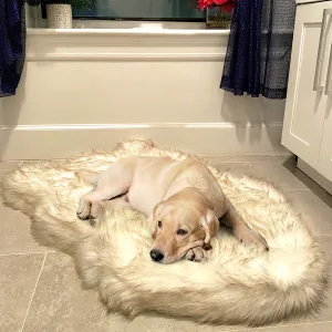 Luxury Faux Fur Orthopedic Dog Bed, Memory Foam Dog Bed for Small, Medium, Large and XL Pets, Fluffy Pet Rug with Waterproof and Washable Soft Cover