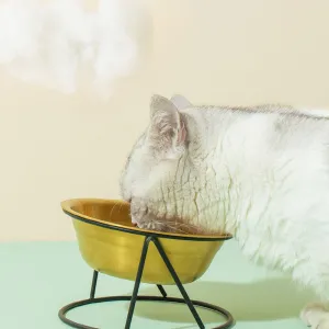 PAWS ASIA Manufacturer Bling Stainless Steel Tilted Dog Bowl Double Design Cat Feeder