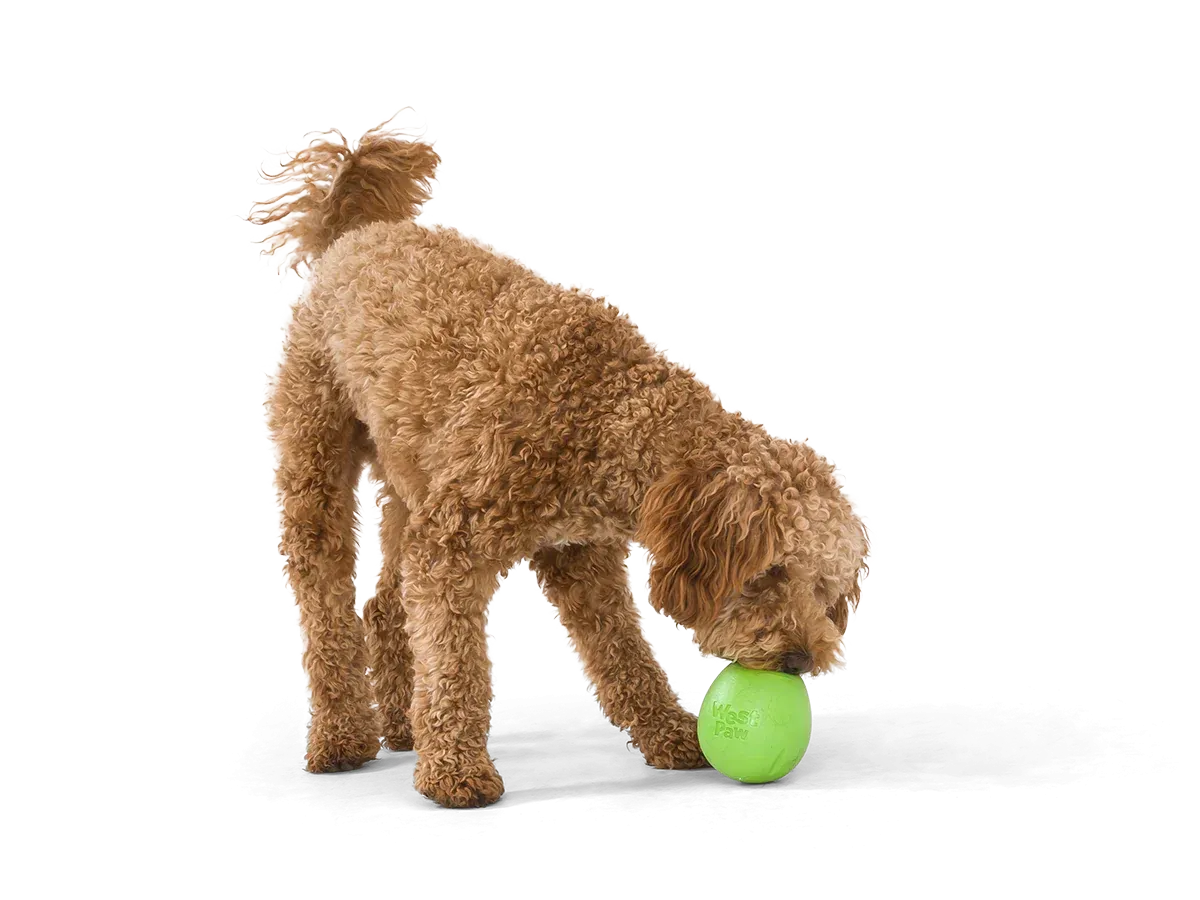 West Paw Zogoflex Rumbl® Dog Toy